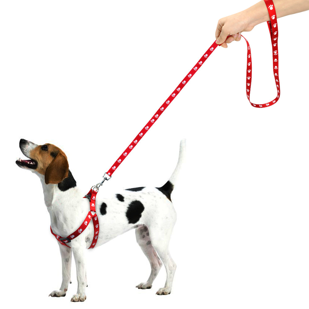 Printed dog leash