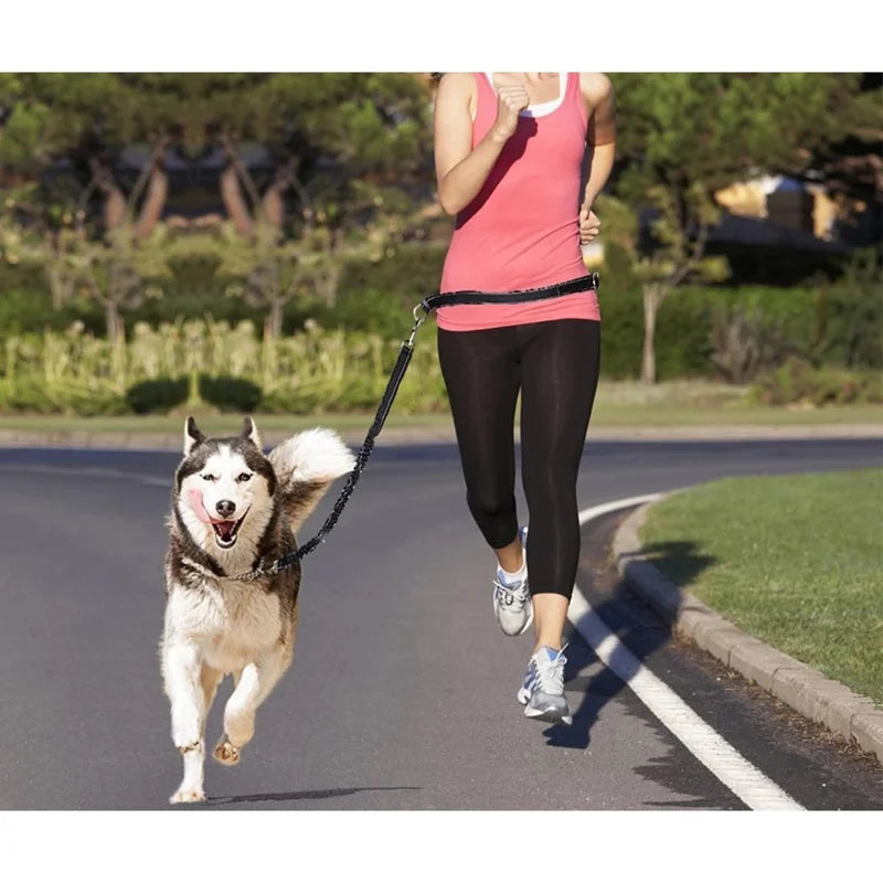 Pet Dog Lead Leash Outdoor Dogs Harness Hands Free Prime Waist Belt Lead Leash Bungee Harness Fpr Jogging Running Dog Walking