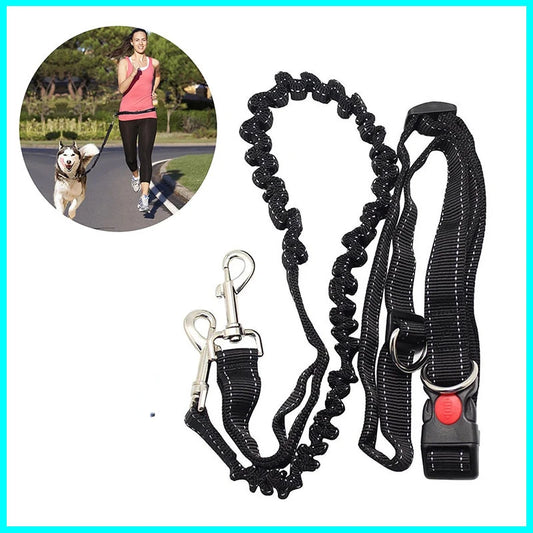 Pet Dog Lead Leash Outdoor Dogs Harness Hands Free Prime Waist Belt Lead Leash Bungee Harness Fpr Jogging Running Dog Walking